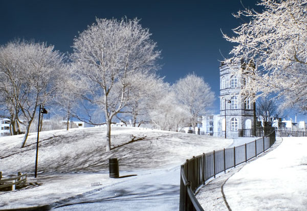 infrared photography examples