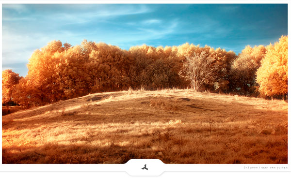 infrared photography examples