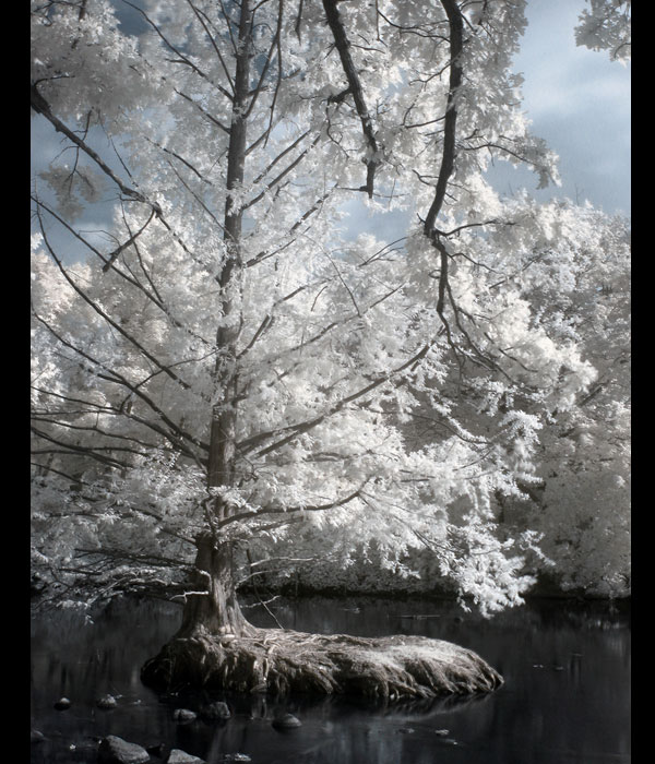 infrared photography examples