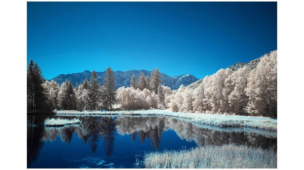 infrared photography examples