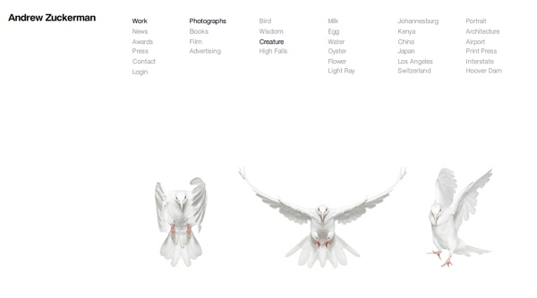 photography portfolio tips