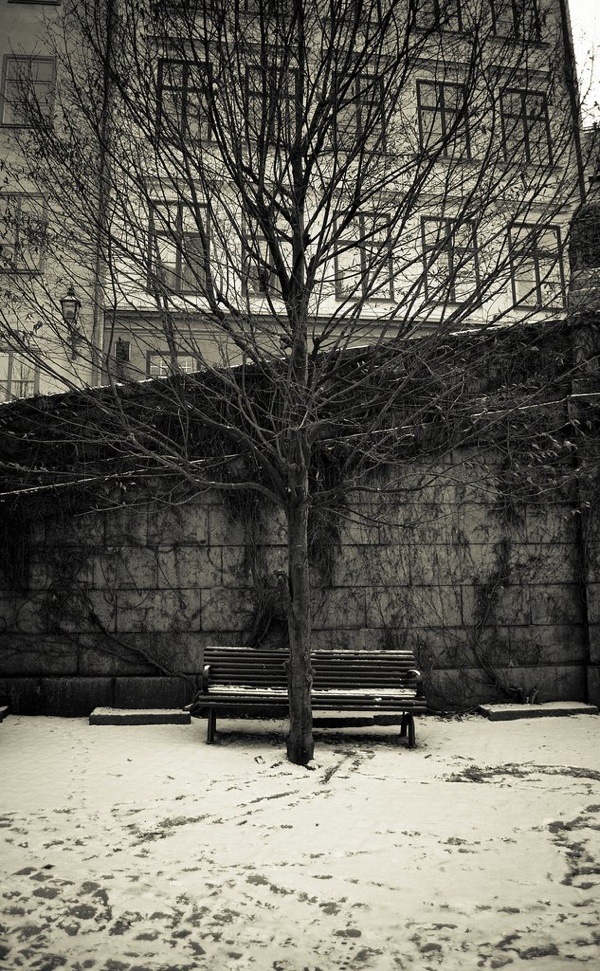 Photo Critique