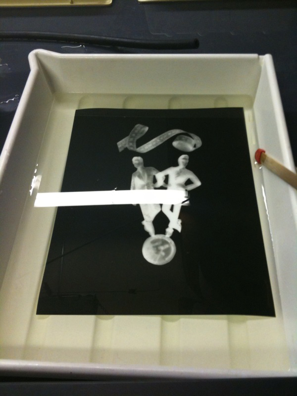 photogram contact printing