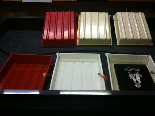 photogram contact printing