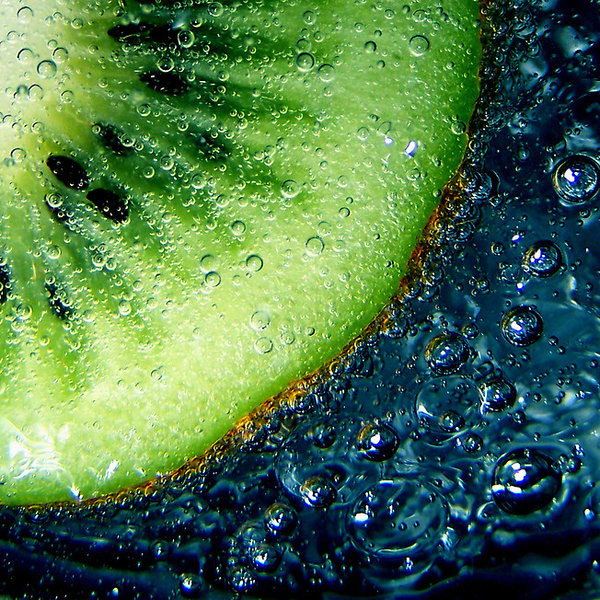 macro photography examples inspiration