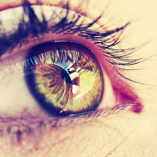 macro photography examples inspiration