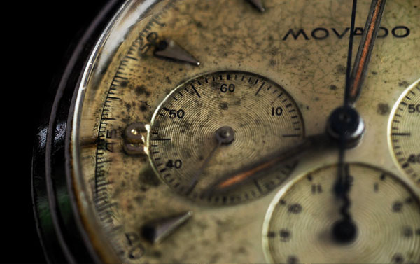 macro photography examples inspiration