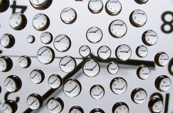 macro photography examples inspiration