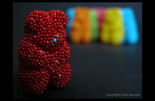 macro photography examples inspiration