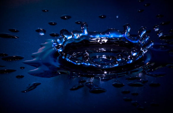 macro photography examples inspiration