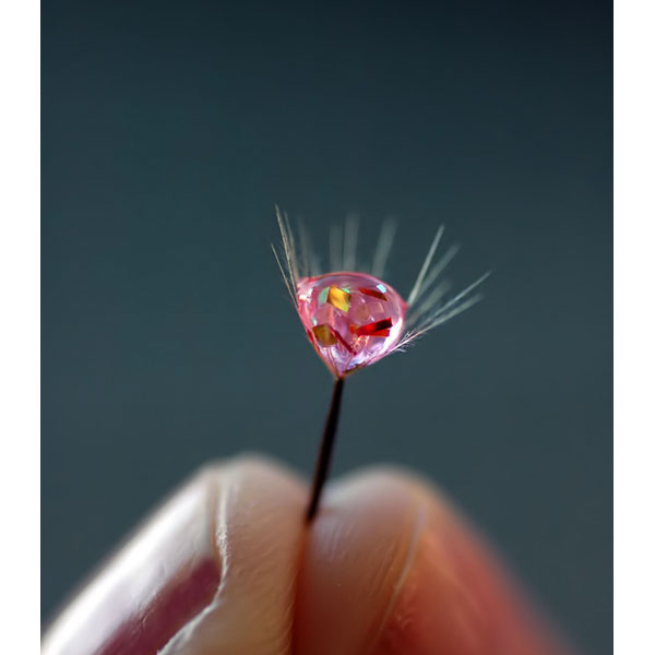 macro photography examples inspiration