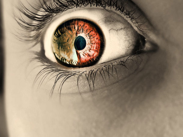 macro photography examples inspiration