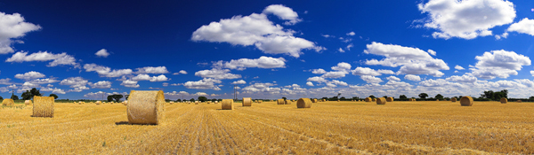 panoramic photography inspiration examples
