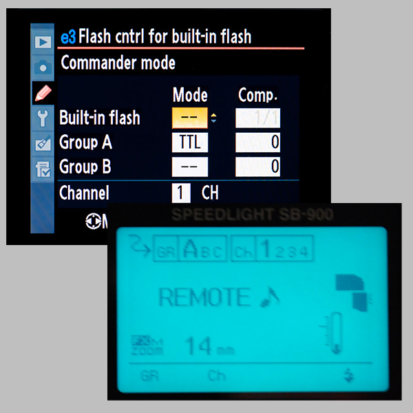 Nikon settings