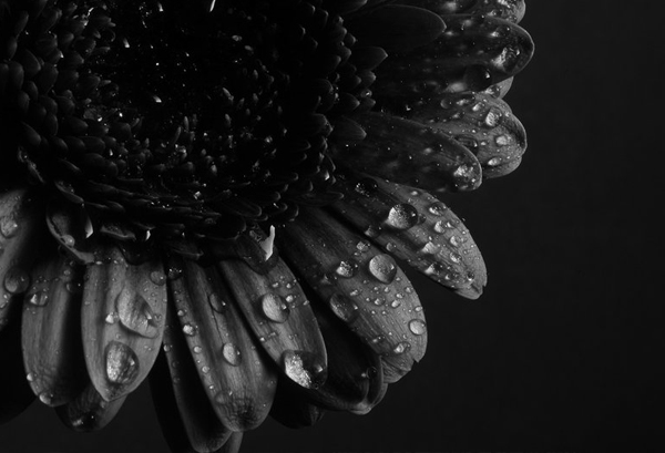 black and white photography inspiration