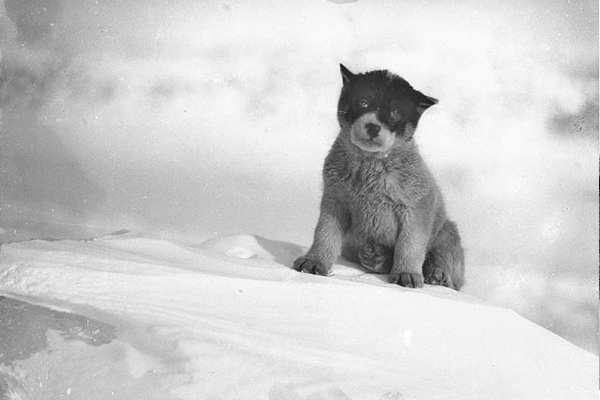 black and white photography inspiration