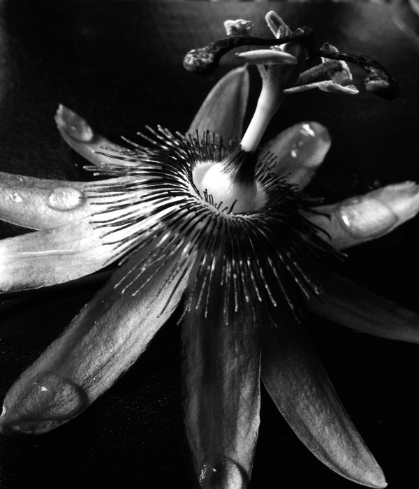 black and white photography inspiration