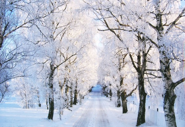 winter photography examples