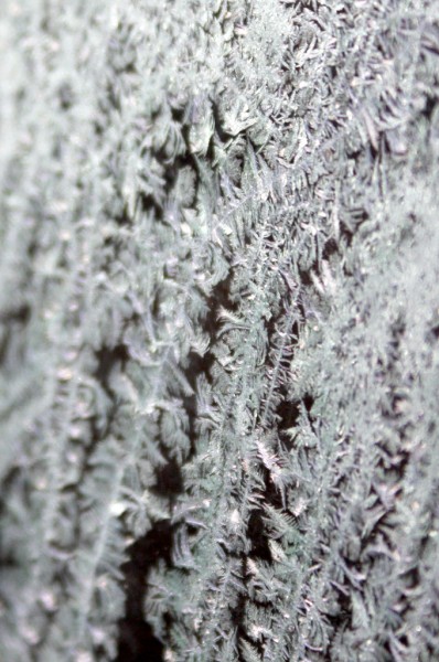 winter photography examples