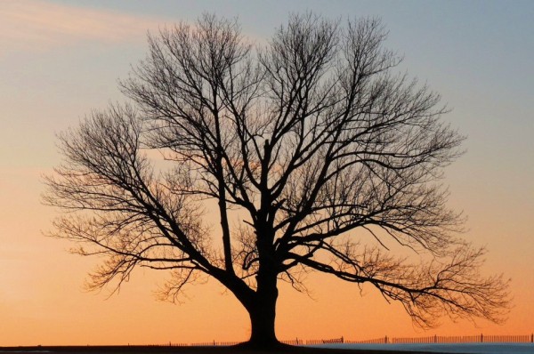 winter photography examples