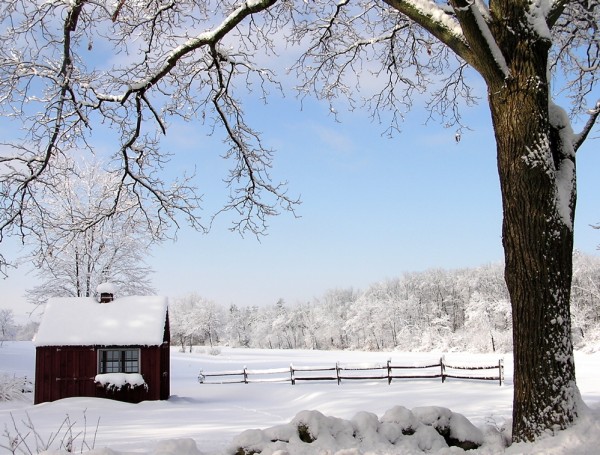 winter photography examples