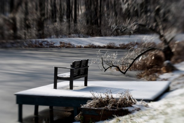 winter photography examples