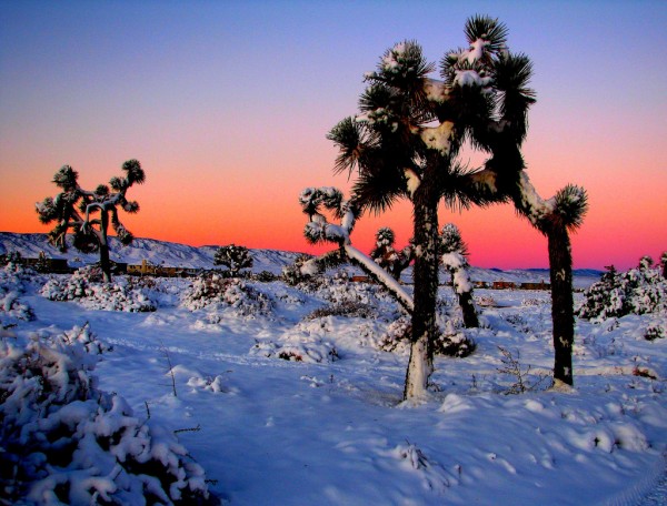 winter photography examples