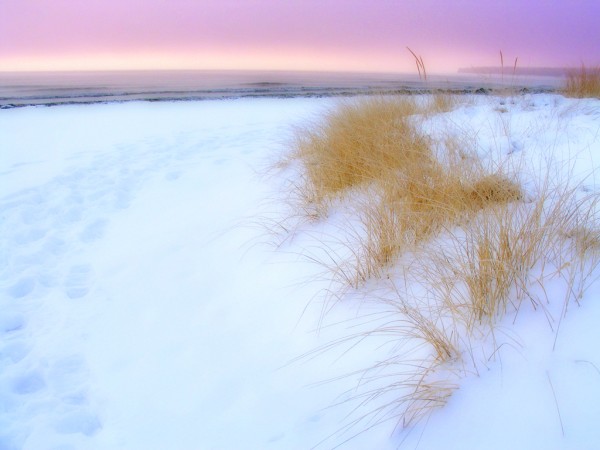 winter photography examples