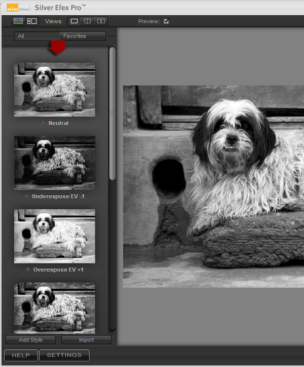 black and white photography plugins photoshop