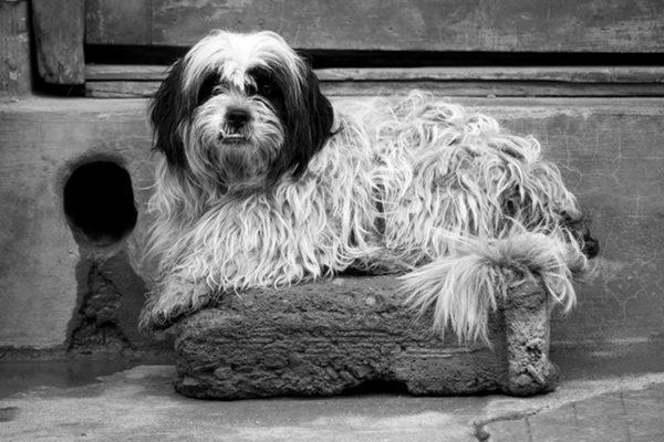 black and white photography plugins photoshop