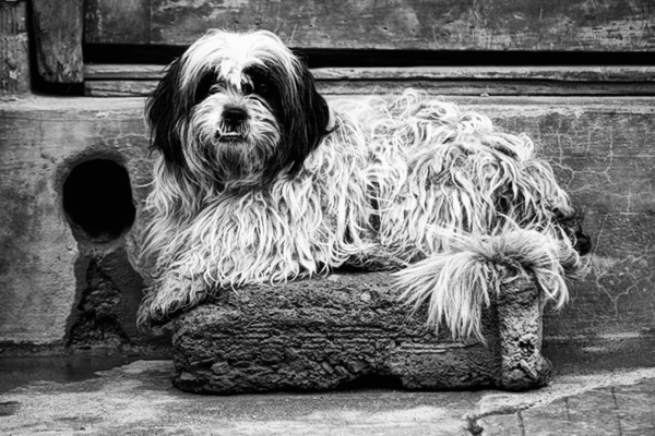 black and white photography plugins photoshop