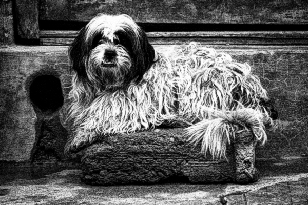 black and white photography plugins photoshop