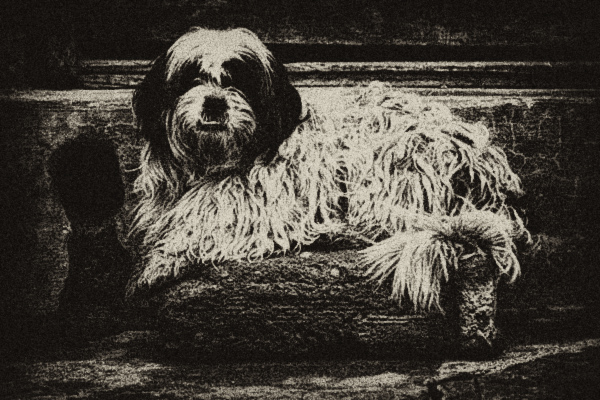black and white photography plugins photoshop