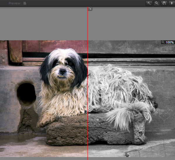 black and white photography plugins photoshop