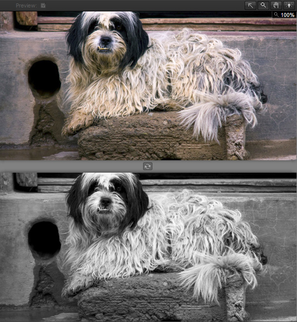 black and white photography plugins photoshop
