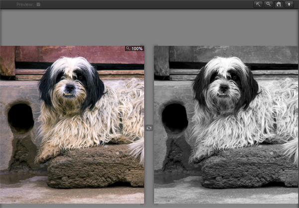 black and white photography plugins photoshop