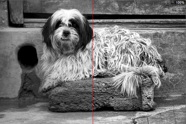 black and white photography plugins photoshop