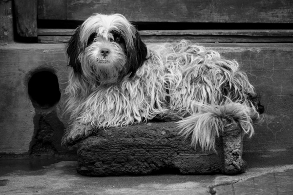 black and white photography plugins photoshop