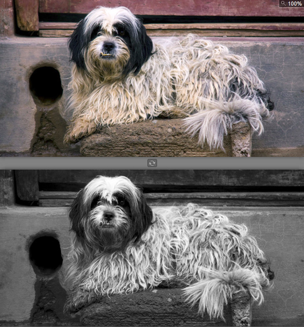 black and white photography plugins photoshop
