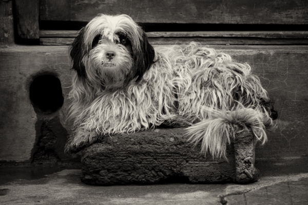 black and white photography plugins photoshop