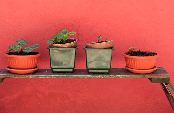 colour photography tips
