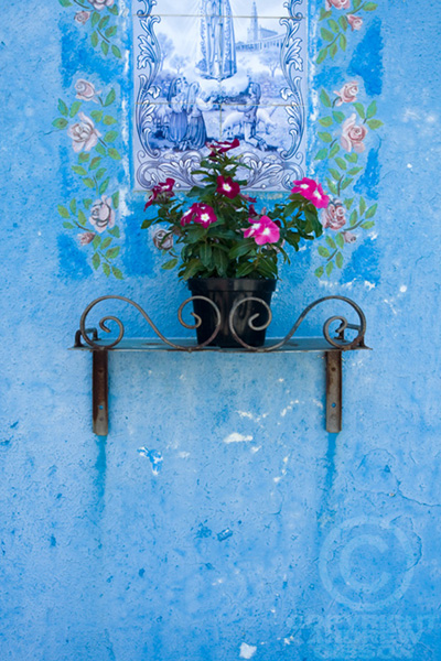 colour photography tips