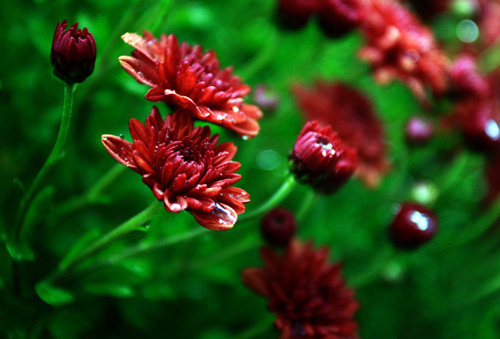 colour photography tips