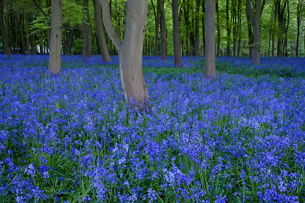 colour photography tips