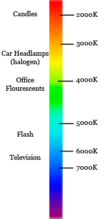 white balance in-camera tutorial