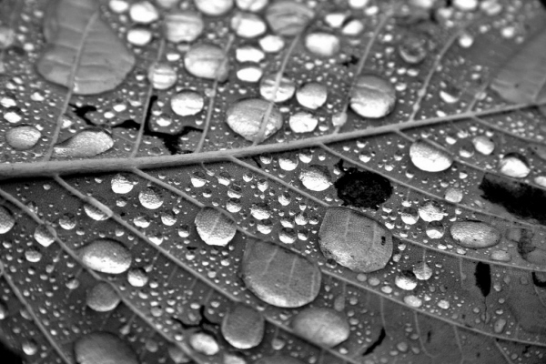 water droplet photography