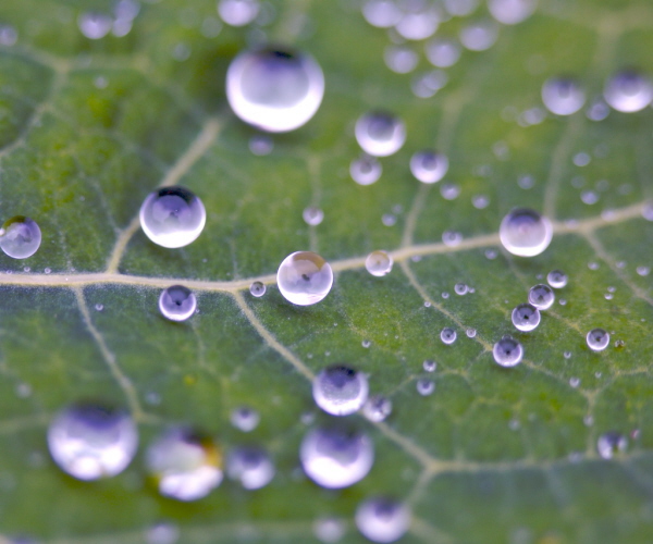 water droplet photography