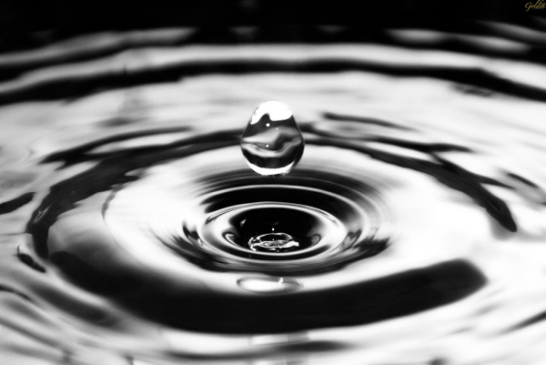 water droplet photography