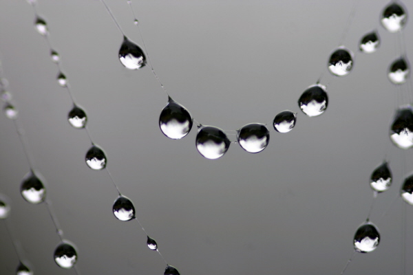 water droplet photography