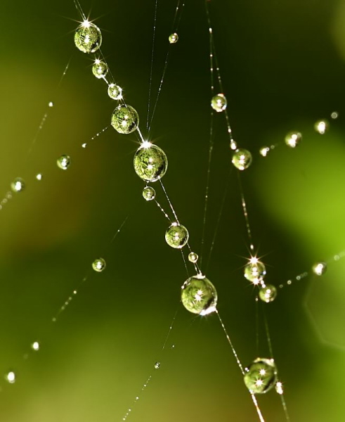 water droplet photography